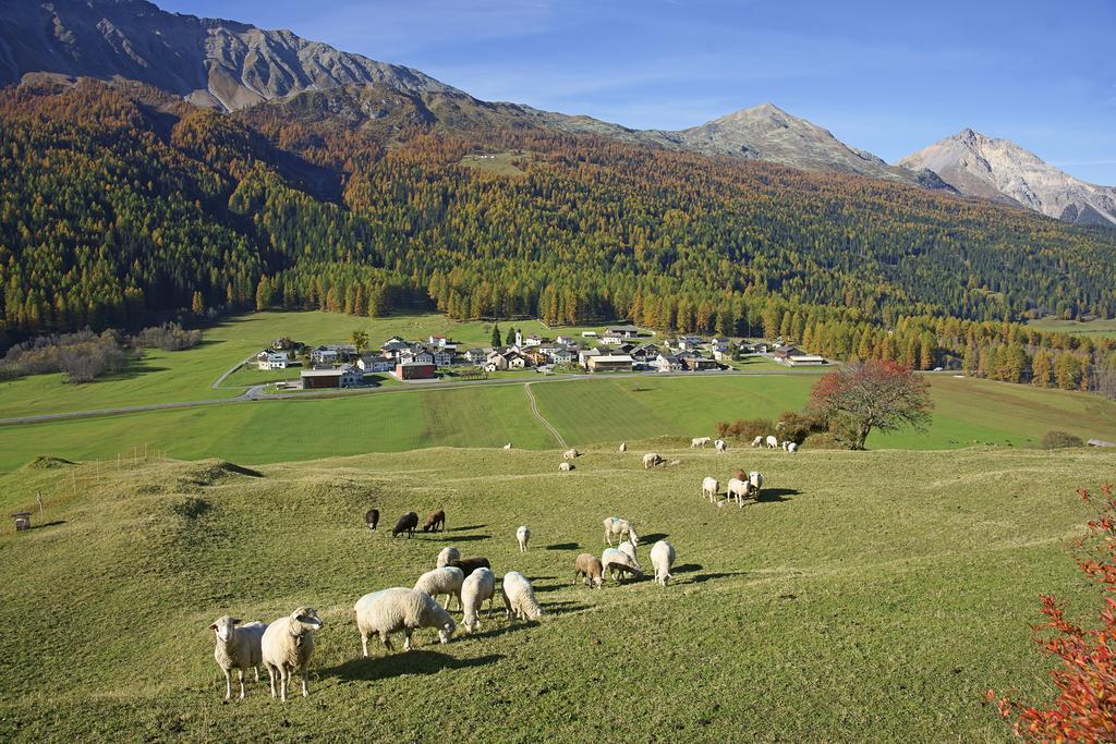 Hotel Landgasthof Staila Fuldera 외부 사진